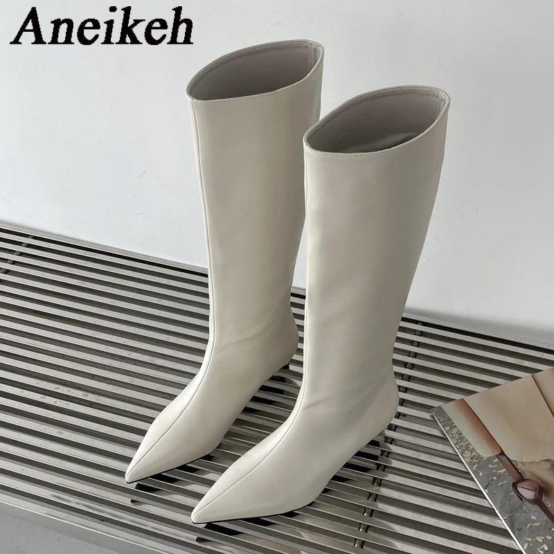 Aneikeh 2026 Mode Sexy Puntige - Women'S Fashion Knee High Boots recensie en prijs