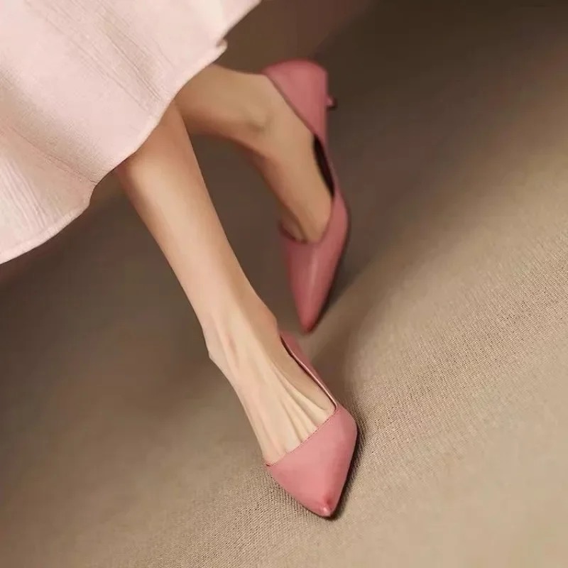 Dames puntschoen stiletto hakk - Women'S Fashion Shoes recensie en prijs