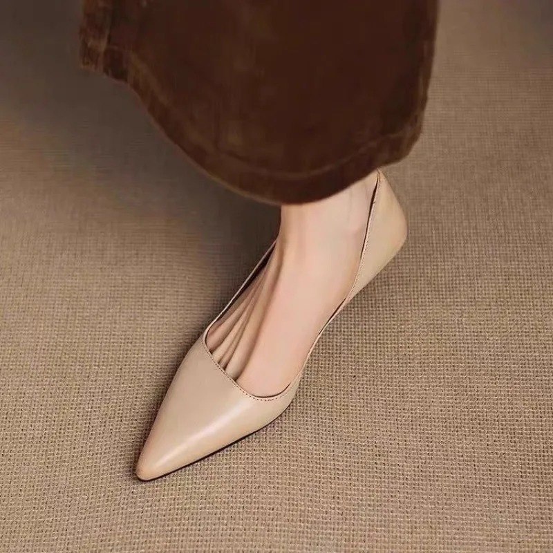 Dames puntschoen stiletto hakk - Women'S Fashion Shoes recensie en prijs